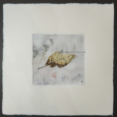 "Fragil", Draufsicht, von Sandra Egert, Close-up-Serie, Naturobjekt auf Aquarell, L 10 x B 10 cm , H 3 cm, in Büttenpassepartout weiß, B 20 x L 20 cm, auf Passpartoutkarton dunkelgrau