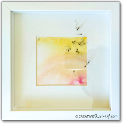 Life-Package2 Waldreben-Aquarell-Objekt