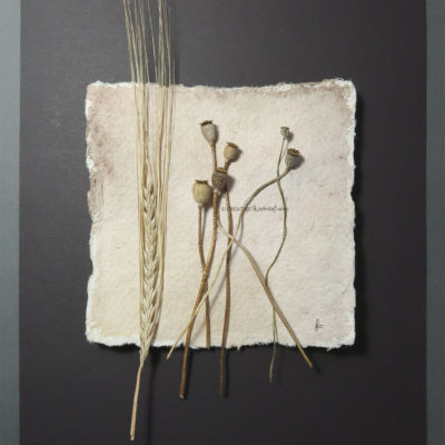 "Remembering Life", Draufsicht, von Sandra Egert, Close-up-Serie, Wandobjekt auf handgeschöpftem Papier, L 15 x B 15cm , H 3 cm, aufgezogen auf Passepartoutkarton W 24 x L 30 cm