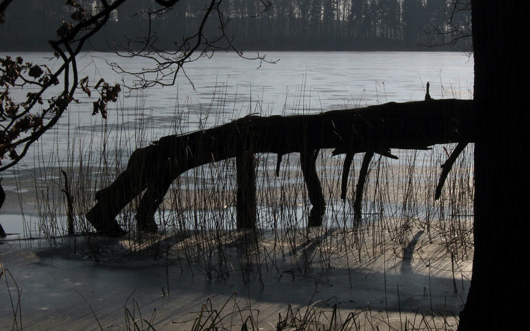 Schatten im Eis