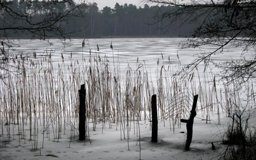 Winterstimmung am Dovinsee